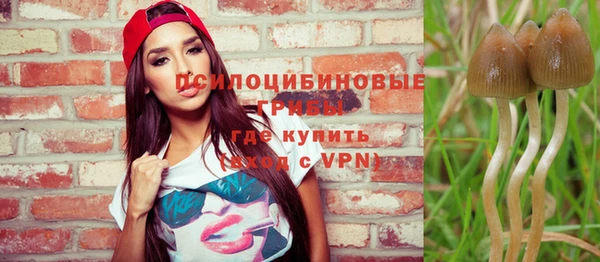 хмурый Армянск