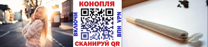 где купить наркотик  Тимашёвск  Бошки марихуана конопля 